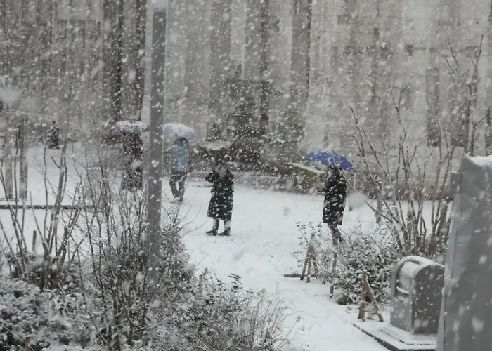 Szálloda Cardinal 3*